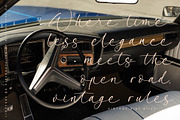 Garden Silent Elegant Script Font, a Script Font by stylishtype.co (Thumbnail 13 of 20)