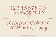 Valmia Modern Elegant Typeface Font, a Serif Font by Rasio Studio (Thumbnail 3 of 9)