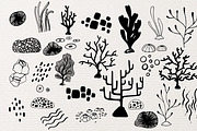 6 Coral Reef Patterns, a Pattern Graphic by Petite Salade (Thumbnail 9 of 9)