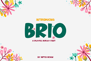 Brio-Playful Typeface