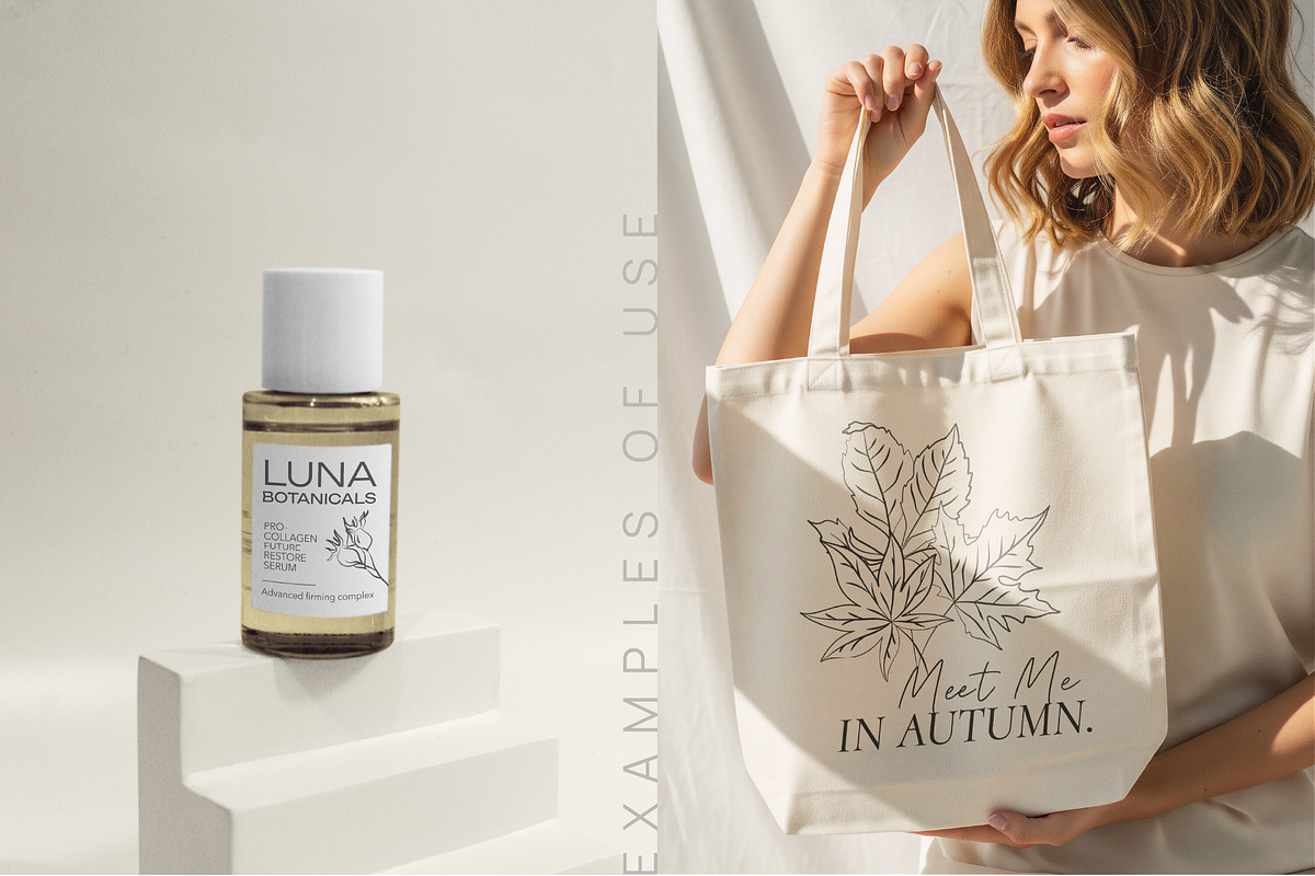 Autumn Botanicals Line Art Clipart, a Decorative Illustration by La Petite Line Art (Photo 10 of 14)
