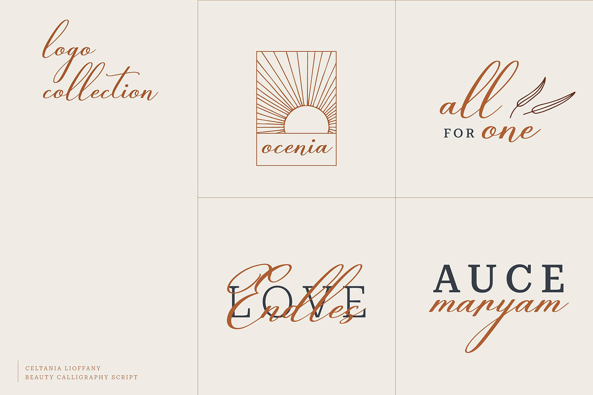 Celtaniya Bioffany Calligraphy, a Script Font by gracetype_studio (Photo 5 of 14)