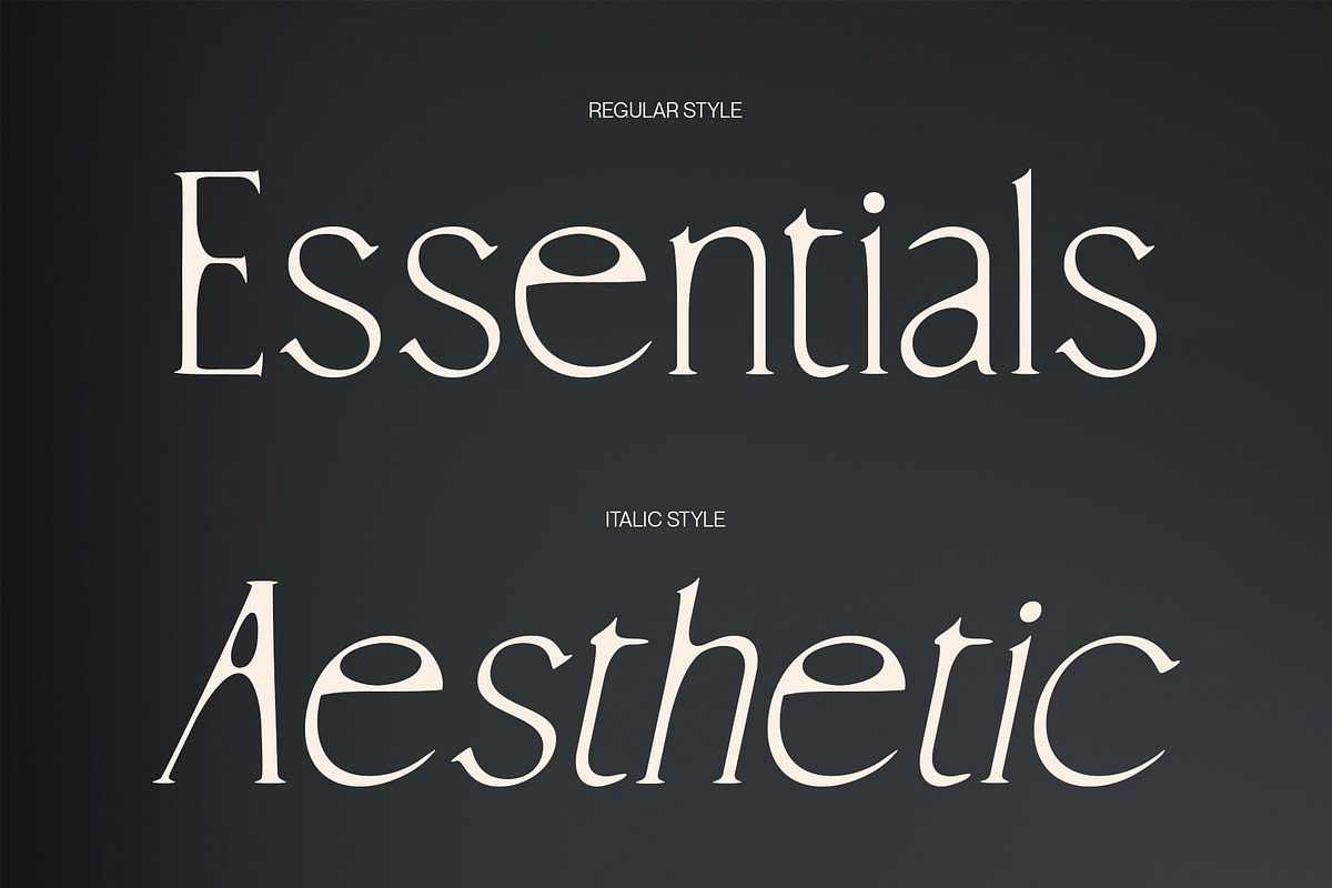 CS Rachel Drawn, a Serif Font by Craft Supply Co. (Photo 3 of 8)