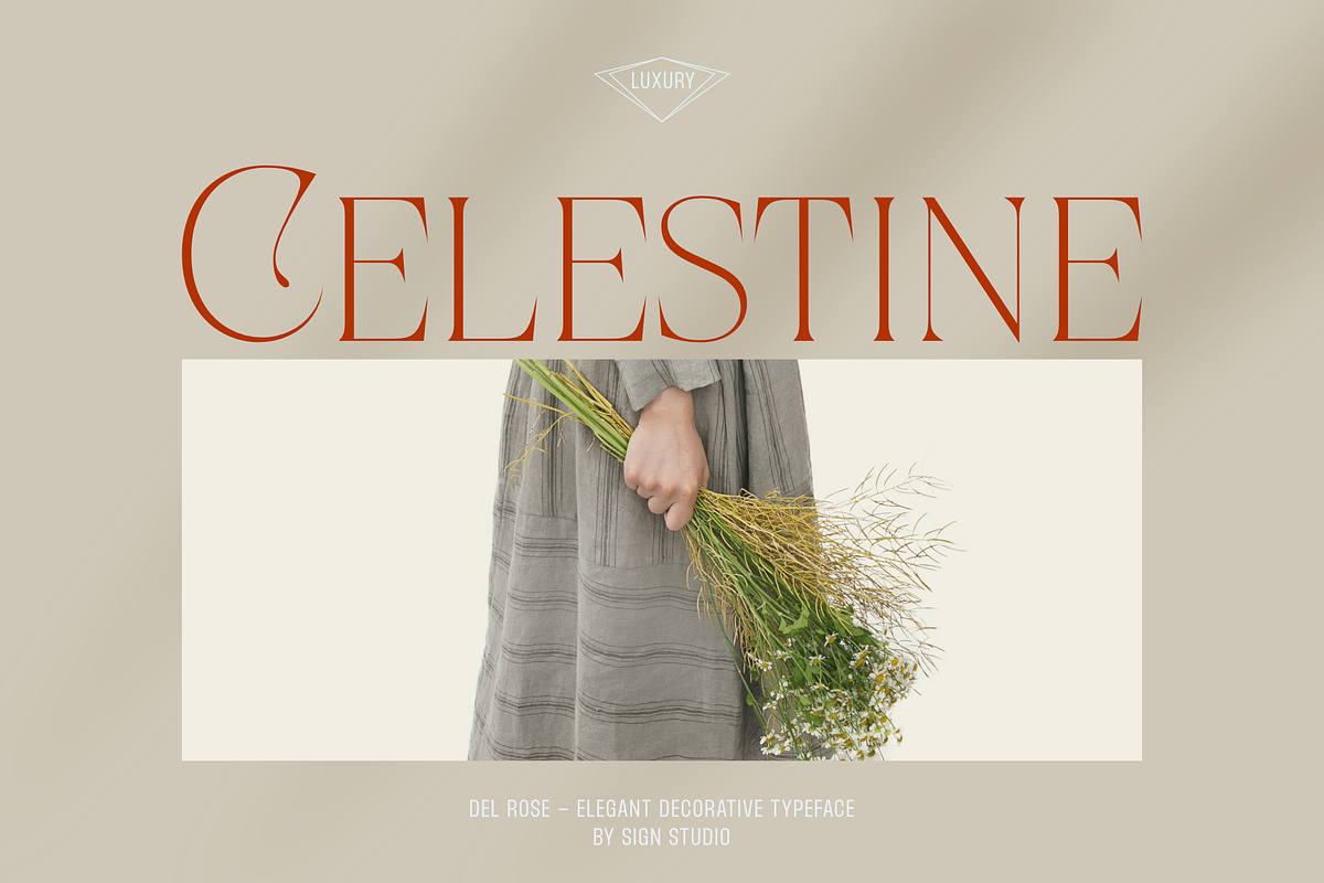 Del Rose, a Serif Font by Sign Studio (Photo 3 of 15)
