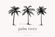 Palm Trees, an Object Illustration by PeDe Designs (Thumbnail 1 of 9)