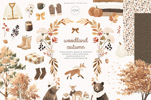 Woodland Autumn