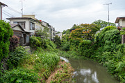 Nameri River flowing through Kamakura residential area, Japan, an Architecture Photo by GoodGoods (Thumbnail 2 of 2)