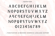 Homicidal Serif Font, a Serif Font by Beck McCormick (Thumbnail 10 of 10)