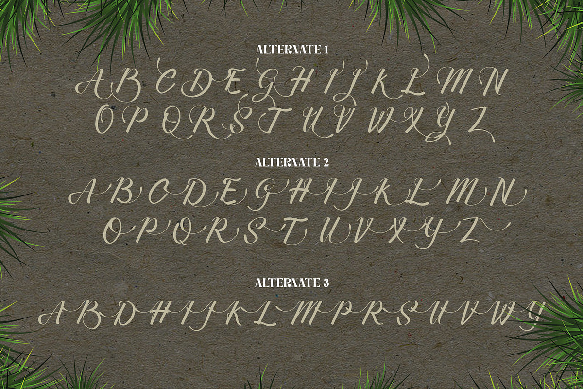 Merthy Script preview 6