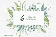 Watercolor herbs. Clipart collection, an Illustration by Anastasia Koba (Thumbnail 3 of 9)