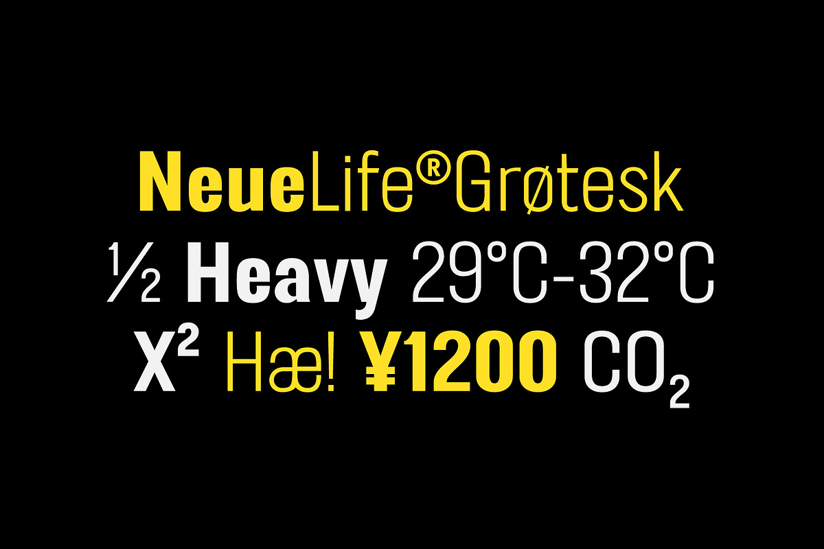 FT Neue Buddy - 5 Styles Sans Serif, a Sans Serif Font by fuzztype (Photo 6 of 15)