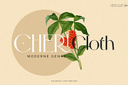 The Bright Lake Font Duo + Logos, a Serif Font by SNIPESCIENTIST (Thumbnail 3 of 31)