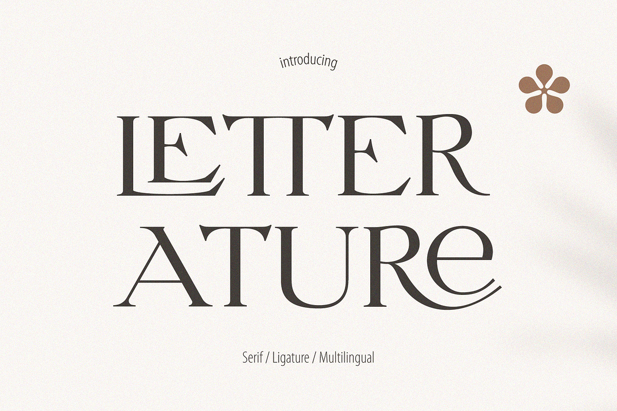 Letterature ligature serif font, a Serif Font by kaer_shop (Photo 1 of 12)