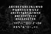 Nu Arge, a Serif Font by lelevien (Thumbnail 3 of 5)
