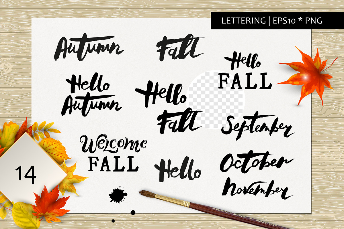 Autumn leaves vector collection, a Seasonal Illustration by VaraNa Art (Photo 9 of 15)