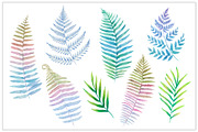 Fairy forest. Patterns and elements, a Decorative Illustration by Robusta (Thumbnail 16 of 17)