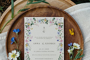 Wildflower Forest Floral Flower Set, a Decorative Illustration by Veris Studio (Thumbnail 16 of 19)