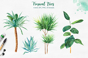 Tropical. Watercolor illustrations., a Decorative Illustration by AlexGreenArt (Thumbnail 8 of 12)