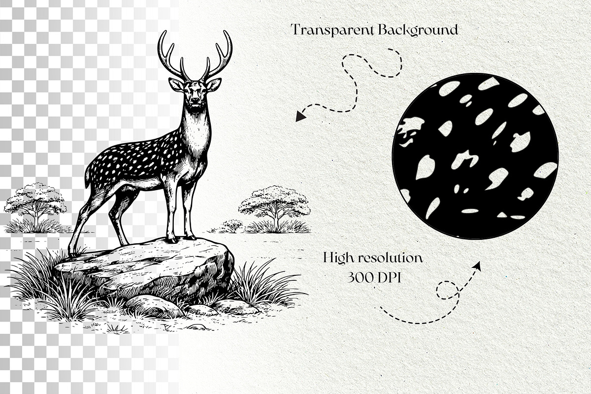 Axis Deer Wildlife Graphics, an Animal Illustration by DENIDigitalArtSudio (Photo 7 of 8)