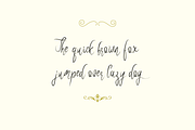 Roselind Font + Swashes & Ornaments, a Script Font by Designova® (Thumbnail 2 of 10)
