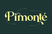 Zearlith - Modern Serif Font, a Serif Font by Rishsketch (Thumbnail 8 of 15)
