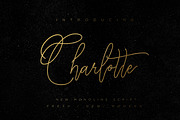 Wonderfull Font Collection, a Script Font by Chocotype Std (Thumbnail 16 of 51)