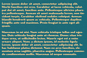 Vicente Typeface, a Sans Serif Font by Bone Idle Goods (Thumbnail 3 of 3)
