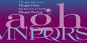 Elegia, a Serif Font by Wiescher-Design (Thumbnail 2 of 5)