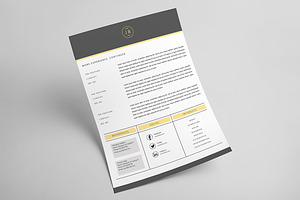 Clean Elegant MS Word Resume