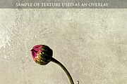 Abstract Texture 2, a Texture Graphic by photomelange (Thumbnail 2 of 2)