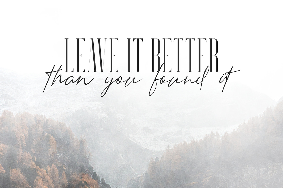 Searchlight - font trio preview 6