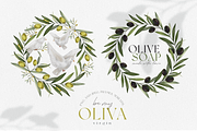 Olive illustrations and logos, an Illustration by Ojeny shop (Thumbnail 2 of 8)
