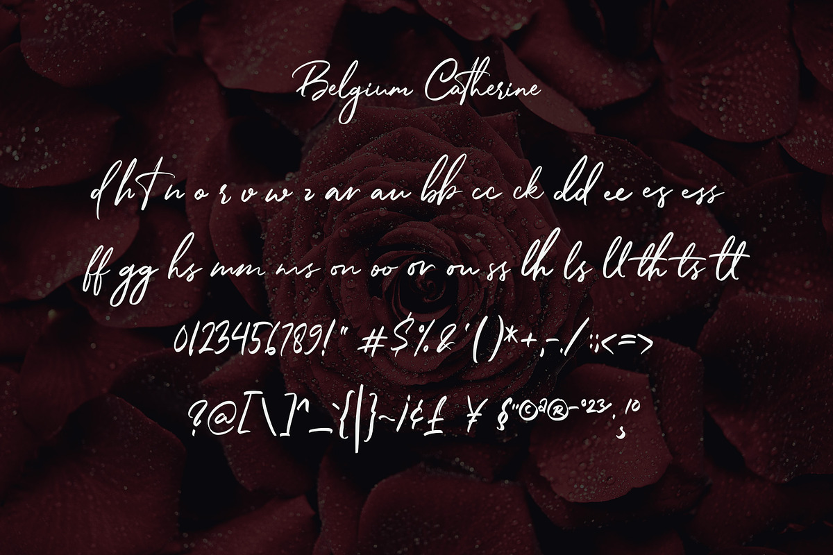 Belgium Catherine, a Handwritten Font by Almarkhatype (Photo 11 of 12)