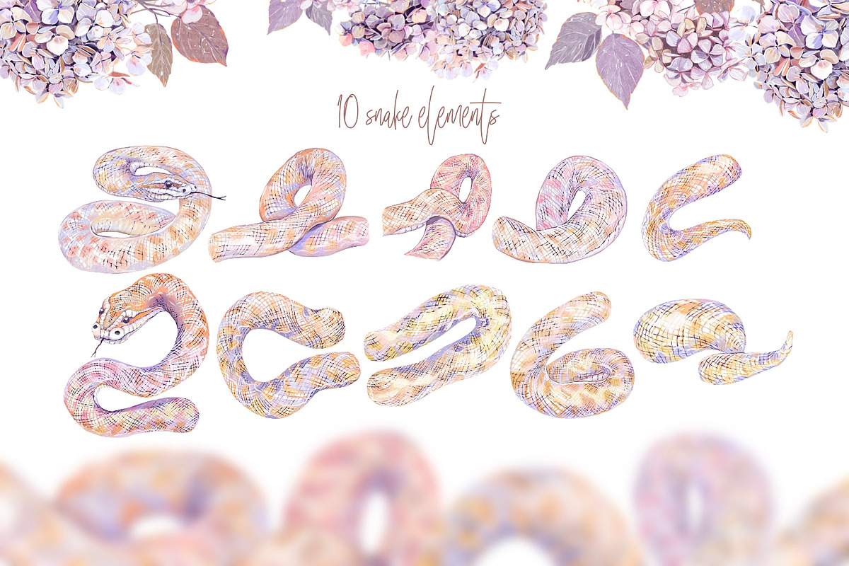 Snake Hydrangeas Garden Clipart, a Decorative Illustration by Shabbypie (Photo 12 of 20)