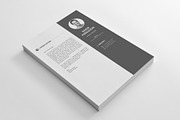 The Resume, a Resume Template by Rongmistiry (Thumbnail 3 of 5)