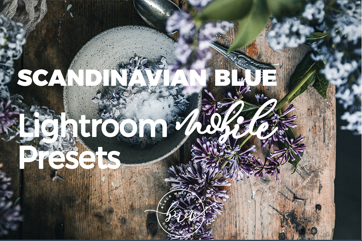 Scandinavian Lightroom Mobile Preset, an Action Add-On by in between details (Photo 1 of 13)
