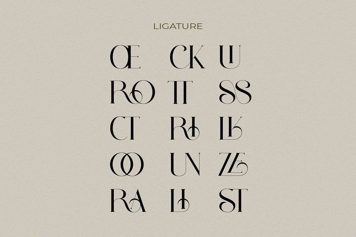 Ravlys - Classy serif, a Serif Font by ToniStudio (Photo 9 of 11)