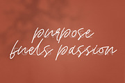 Style Line, a Script Font by Paul Hewitt (Thumbnail 4 of 9)