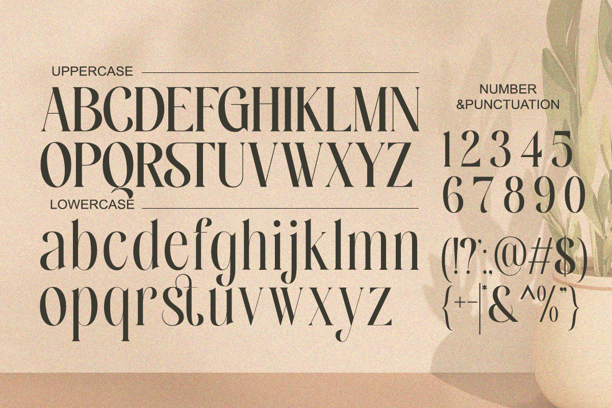 Novera Balessa - Modern Elegant, a Serif Font by Qweera Studio (Photo 11 of 12)