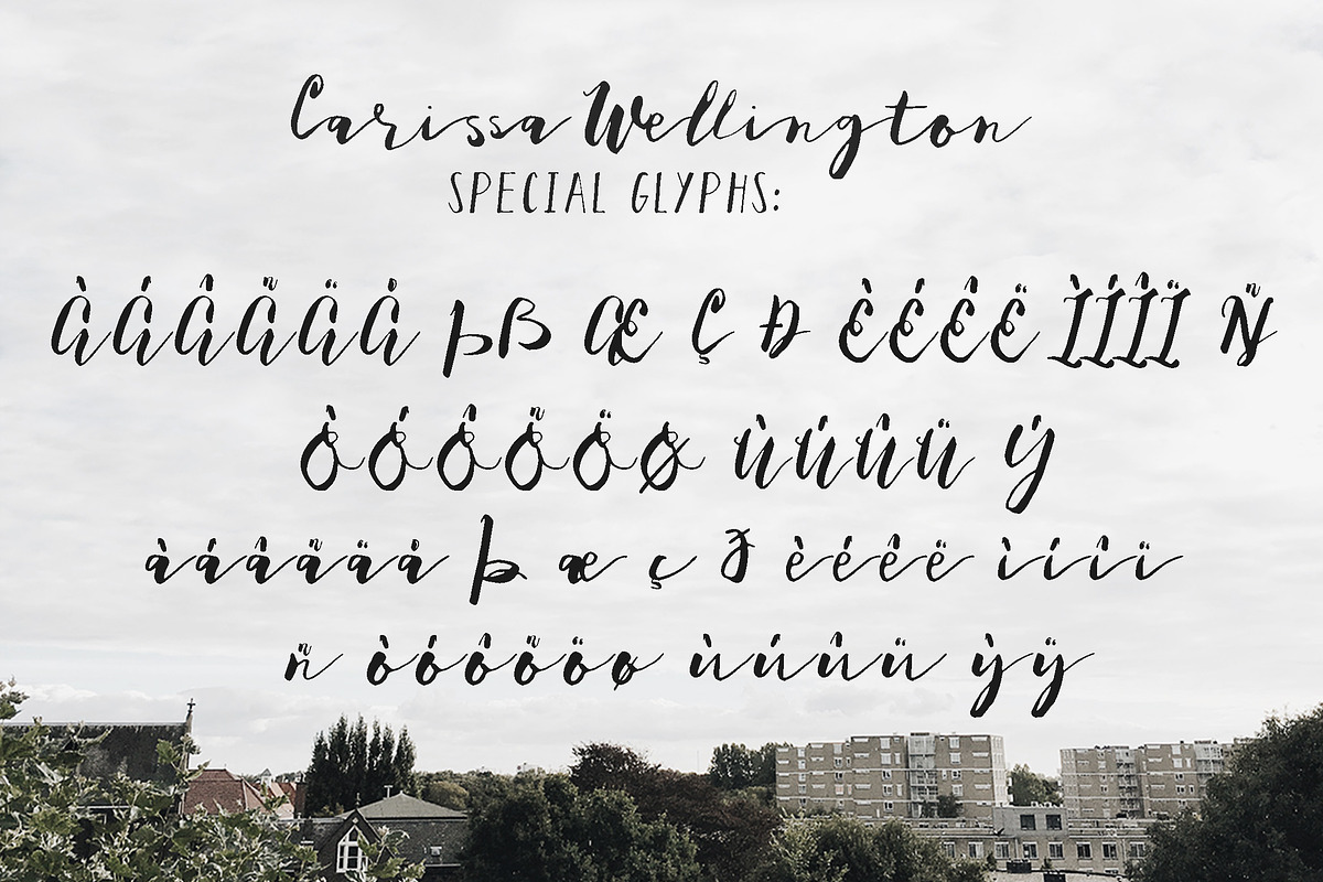 Carissa Wellington Script preview 8