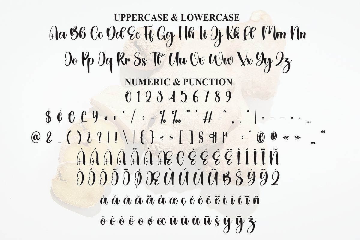 Ginger | Script Font, a Handwritten Font by Scratchones (Photo 7 of 9)