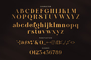 Brukle Elegant Serif Font, a Serif Font by Graphicxell (Thumbnail 8 of 9)