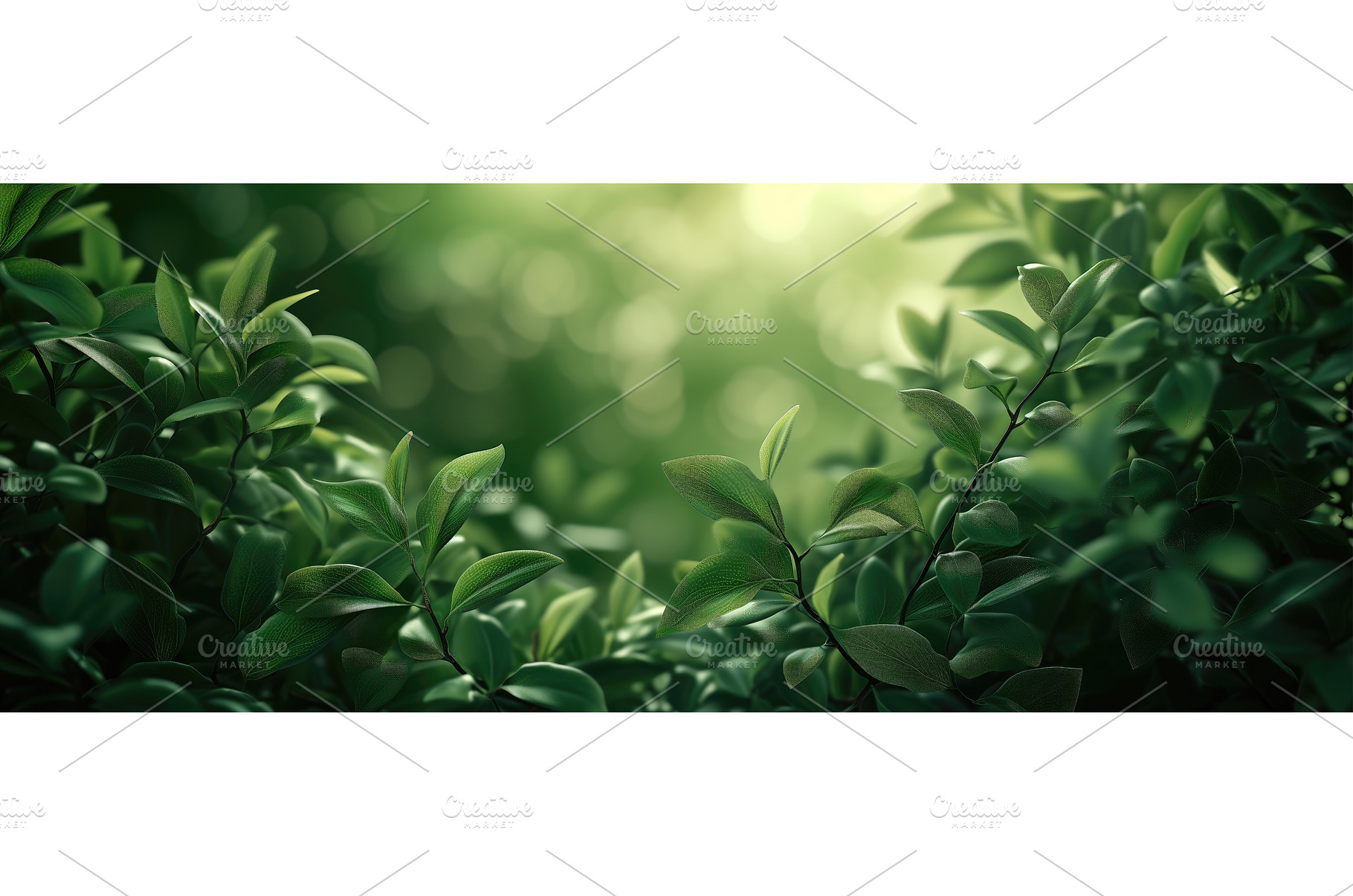 Fresh Foliage Background, a Nature Photo by BazziBa♥