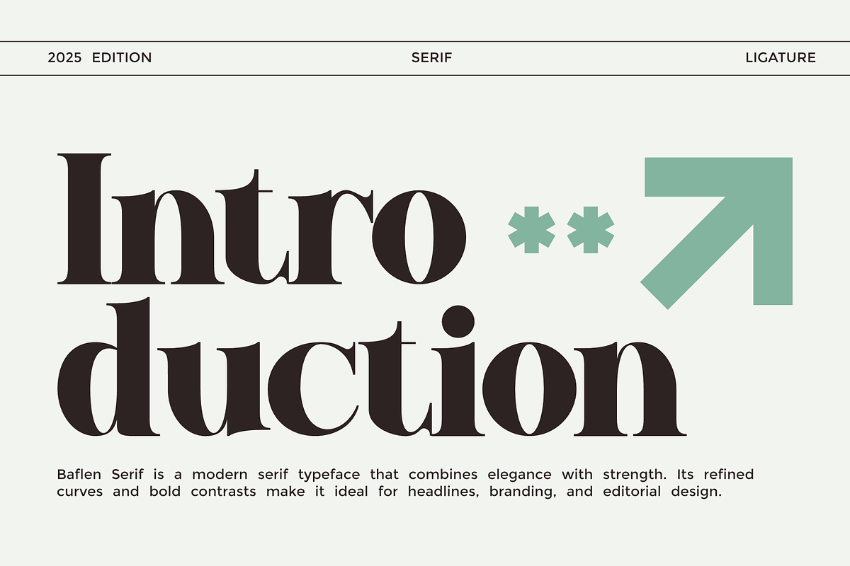 Baflen - Modern Serif Typeface, a Serif Font by MaikoHatta (Photo 2 of 8)