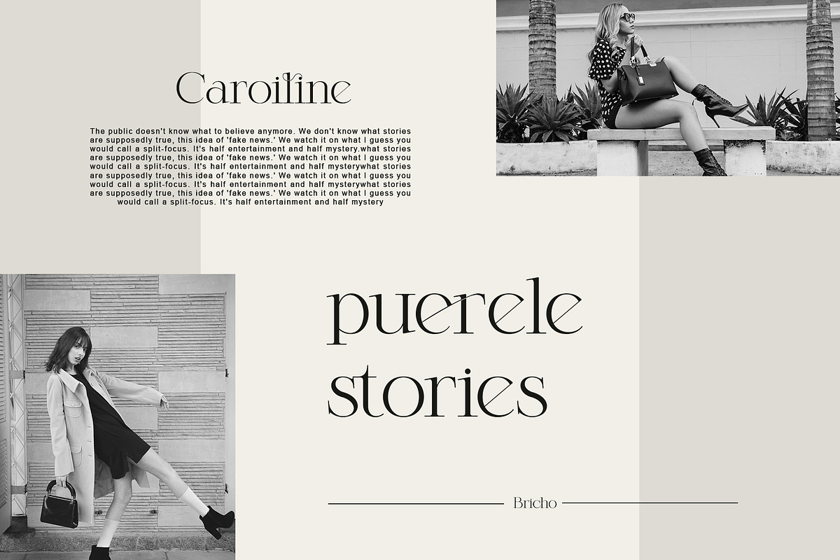 Bricho Modern Elegant Serif, a Serif Font by Alfinart (Photo 3 of 8)