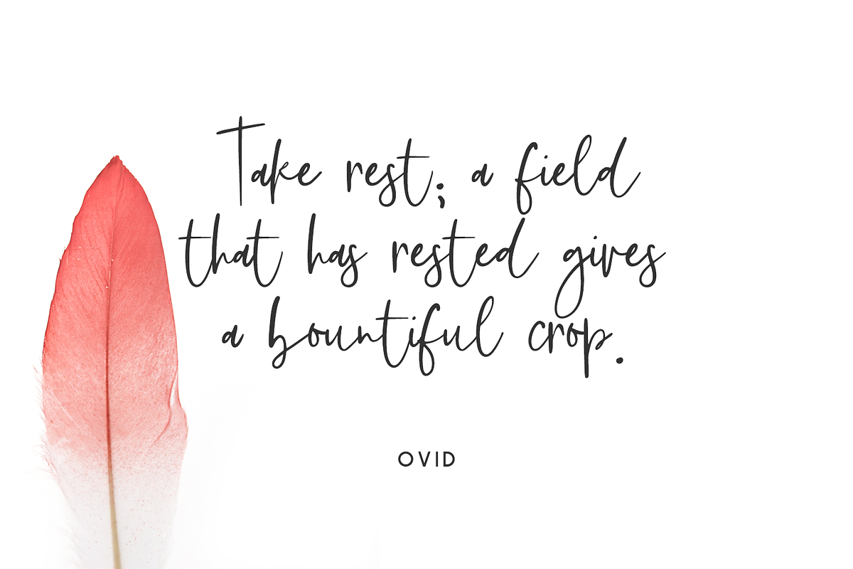 Featherstitch Script, a Script Font by Beck McCormick (Photo 5 of 10)