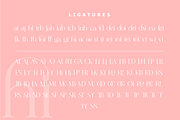 Histeagin Serif, a Serif Font by Yahya Type (Thumbnail 23 of 25)