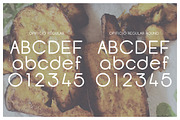 Opificio Font Family, a Sans Serif Font by Monofonts (Thumbnail 6 of 7)