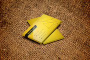 Business Card Multipurpose, a Business Card Template by DesignsStore (Thumbnail 3 of 3)