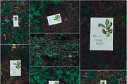 Foliage Frames Vol. 1 - Mockups, a Print Template by Wild Joy Studios (Thumbnail 3 of 6)